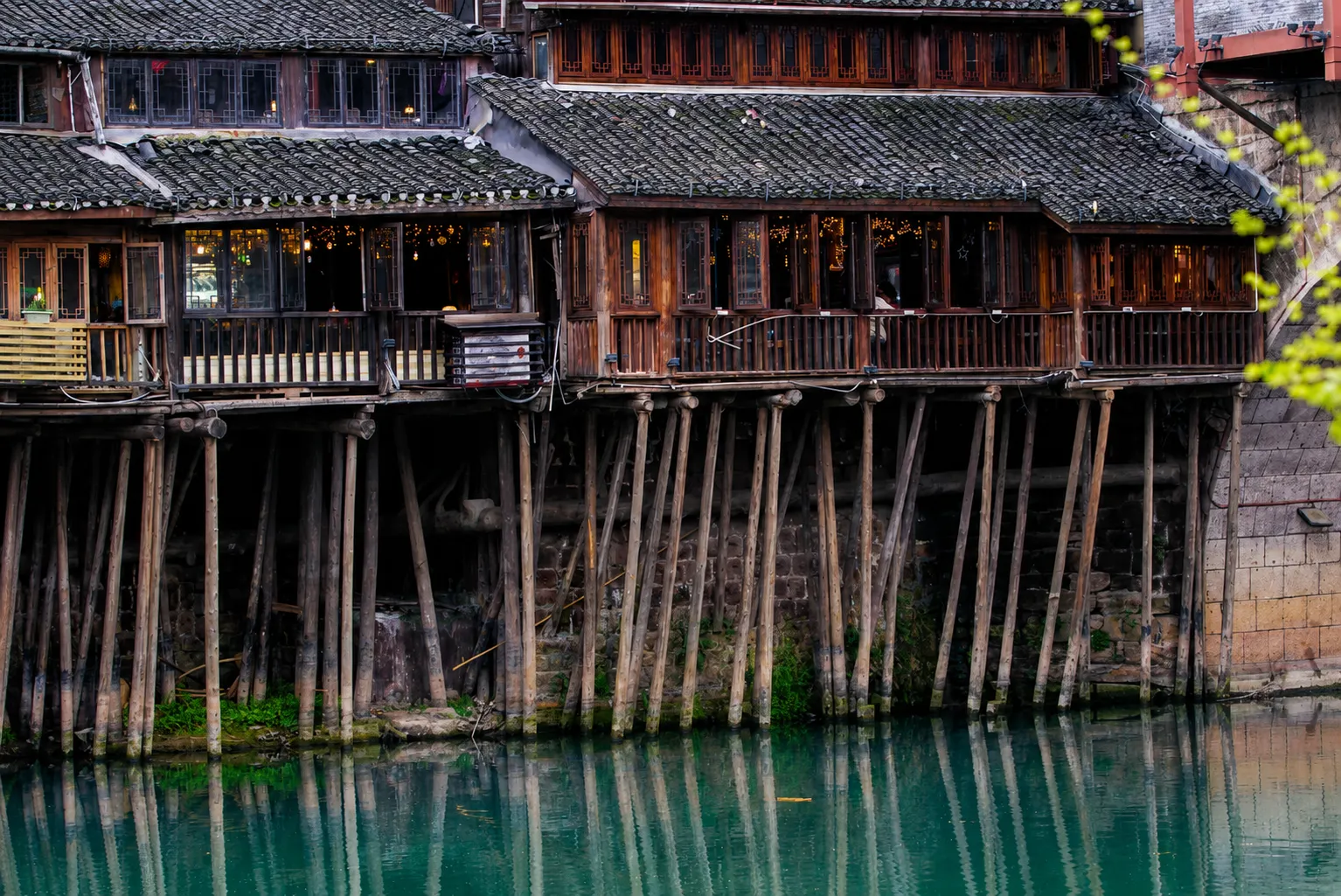 Stilt houses supported by branches at the base