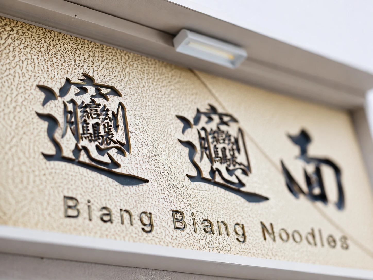 Wide hand-pulled biangbiang noodles covered with chili oil and scallions