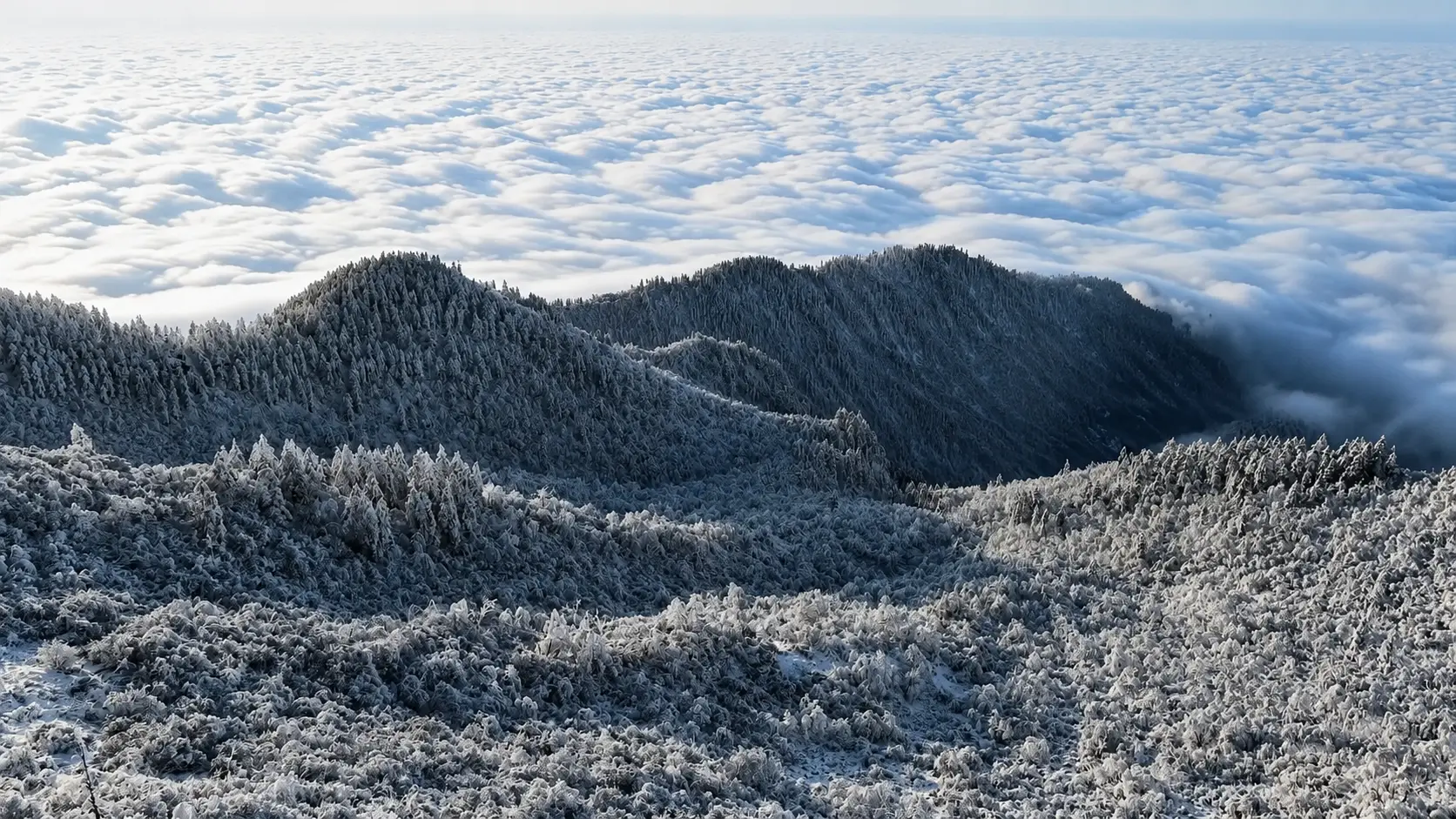 Snow-covered mountain ridges above a sea of clouds at sunrise